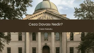 Ceza Davası Nedir?