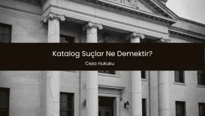 Katalog Suçlar Ne Demek?